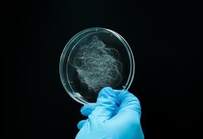 編織未來 態創生物以合成生物制造蛛絲蛋白，助推生物基新材料革新