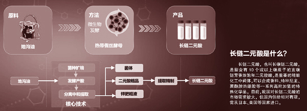 地溝油的新生 從廢棄油脂到“高新工程材料”的綠色合成